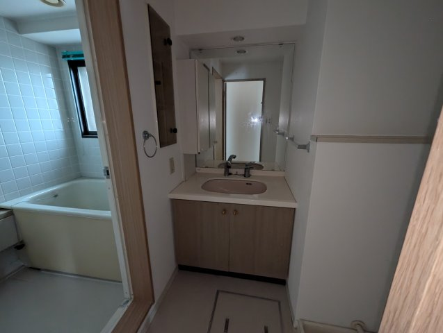 藤和シティホームズ上新庄駅前の独立洗面台