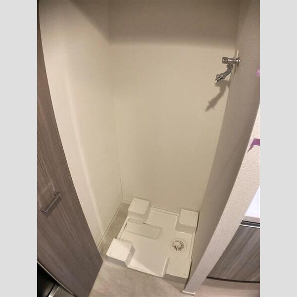 S-RESIDENCE福島玉川Deuxの洗面所
