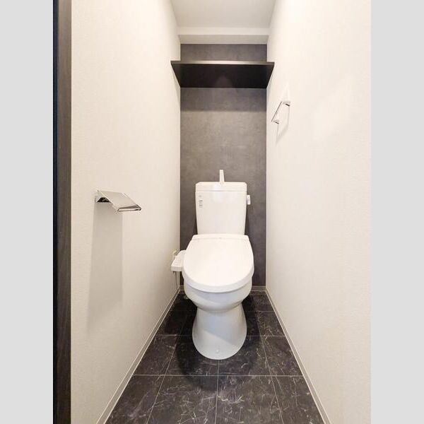 S-RESIDENCE大和田alineのトイレ