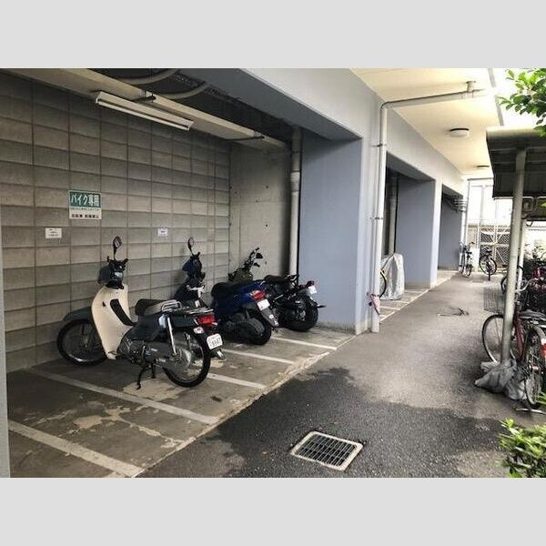 コンセール裕恵のその他