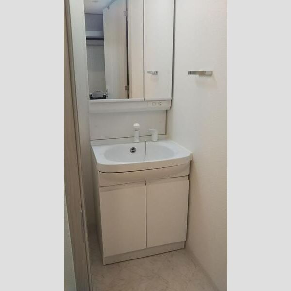 S-RESIDENCE新大阪Ridenteの洗面所