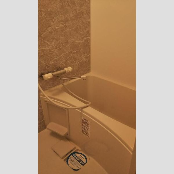 S-RESIDENCE新大阪Ridenteの浴室