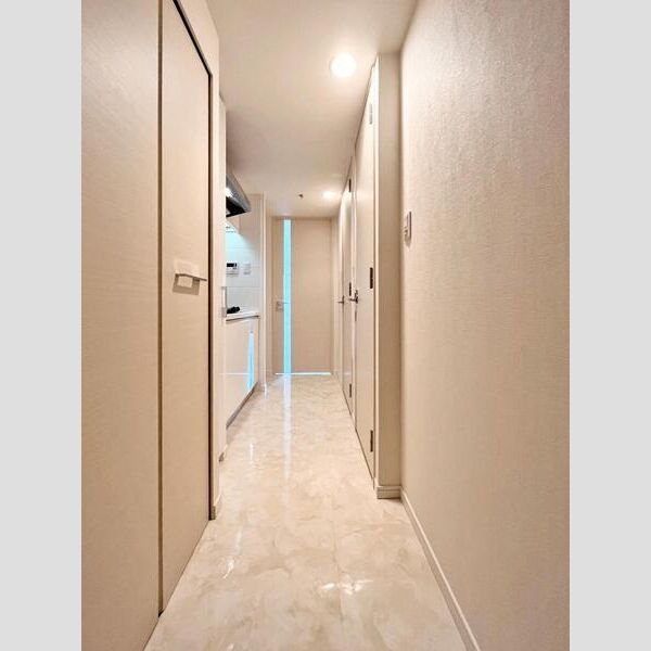 S-RESIDENCE難波Brillerの玄関
