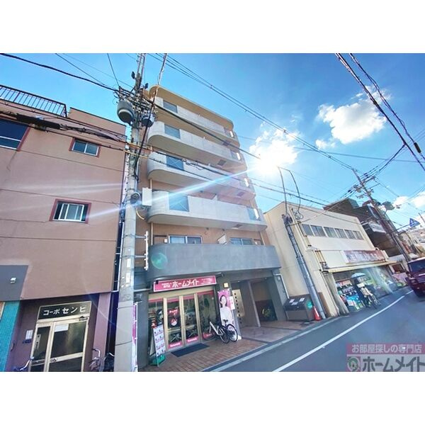 MT・Leonのその他