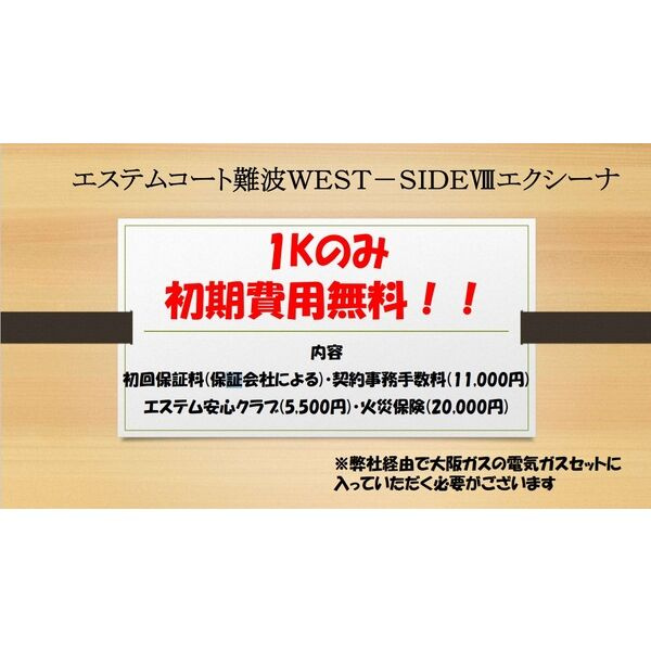 エステムコート難波WEST-SIDEⅧエクシーナのその他
