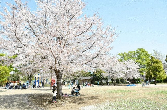 Ｌａ　ｆｏｒｅｓｔａ　ｋｏｍａｇｏｍｅ(ラフォレスタコマゴメ)のその他