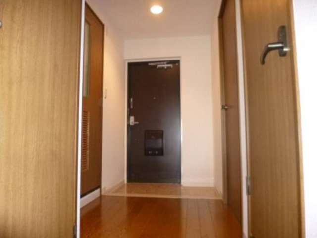 生島リバーサイドマンションD棟の玄関