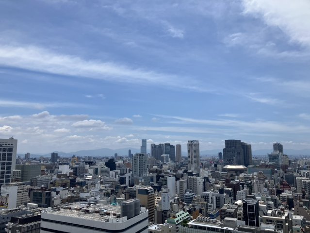 ライオンズマンション大阪スカイタワーの展望