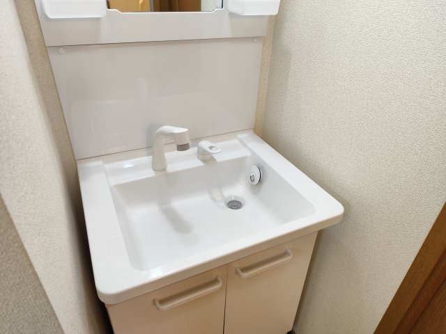 マイハウス新小岩の洗面所
