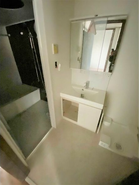 S-RESIDENCE本郷Ⅱの洗面所