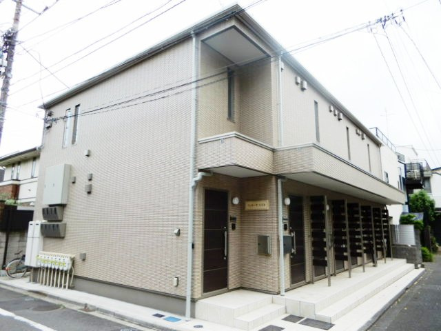 フィカーサスズキのその他