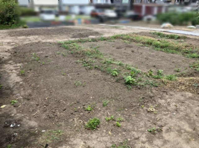 売地　豊川市八幡町鐘鋳場176番1の外観
