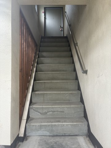 船寺通1丁目中古戸建のその他|玄関に至るまでの階段です。