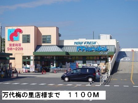 ソフィアコートの周辺|万代梅の里店様まで1100m