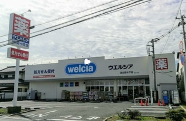 へーベルメゾン豊四季のその他|ウエルシア流山野々下店