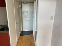 落ち着いた玄関です