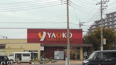 ヤオコー新白岡店まで1200m