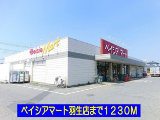 ベイシアマート羽生店まで1230m