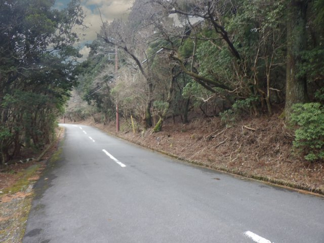 伊豆天城リゾート㉒の前面道路含む現地写真