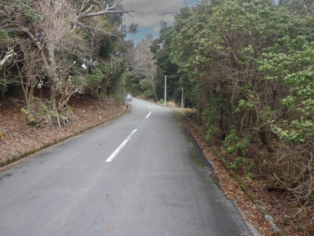 伊豆天城リゾート㉒の前面道路含む現地写真