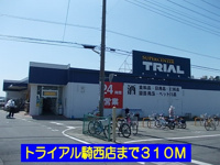 トライアル騎西店まで310m