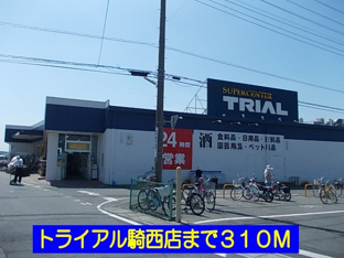 トライアル騎西店まで310m