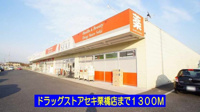 ドラックストアセキ栗橋店まで1300m