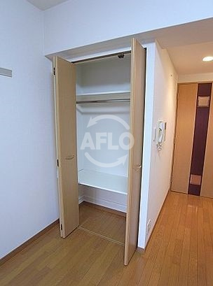 プレサンス大手前パークサイドⅡの収納|プレサンス大手前パークサイドⅡ　クローゼット