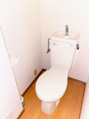 落ち着いた色調のトイレです