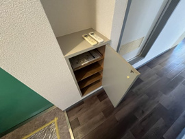 落ち着いた玄関です