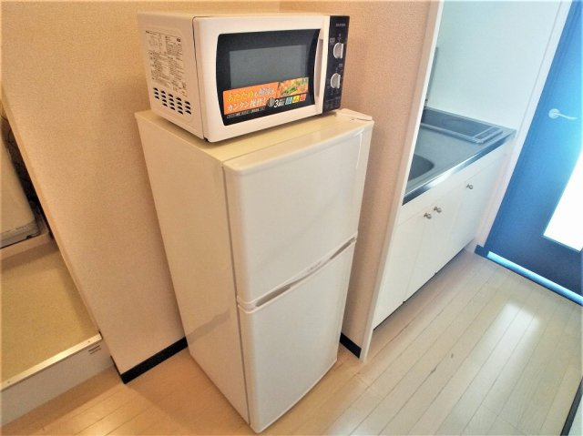 レオネクストコスモスのその他|レンジと冷蔵庫