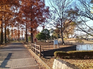 【周辺】 | パルテール | 不動岡公園まで1100m
