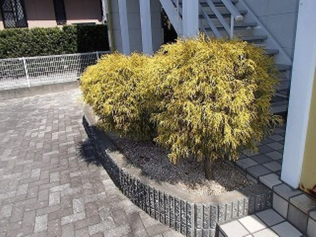 レオパレス刈原のその他