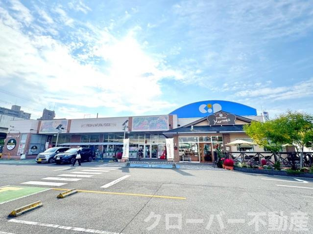 プラージュ司の周辺|スーパー