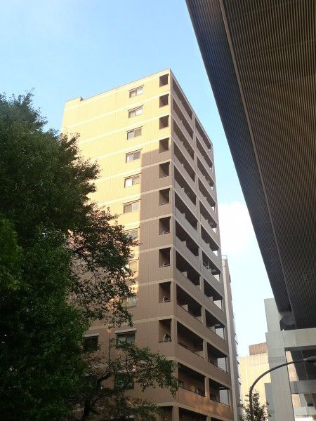 ソリッド大橋の画像