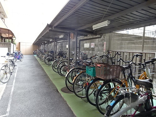 ライオンズマンション日本橋のその他|駐輪場