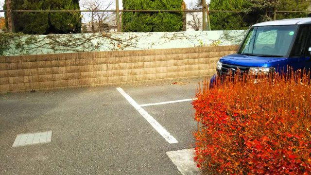 レオパレスつばさのその他