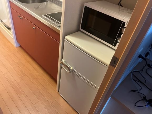 レオパレストライズのその他