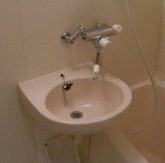 フェニックス荻窪参番館の洗面所