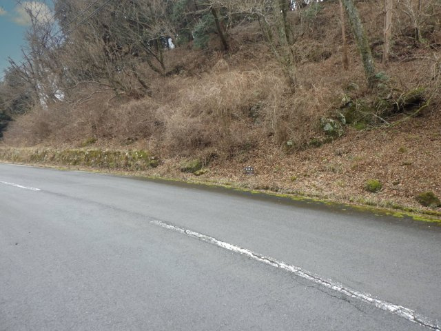 伊豆天城リゾート㉓の前面道路含む現地写真