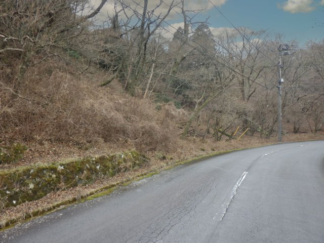 伊豆天城リゾート㉓の前面道路含む現地写真
