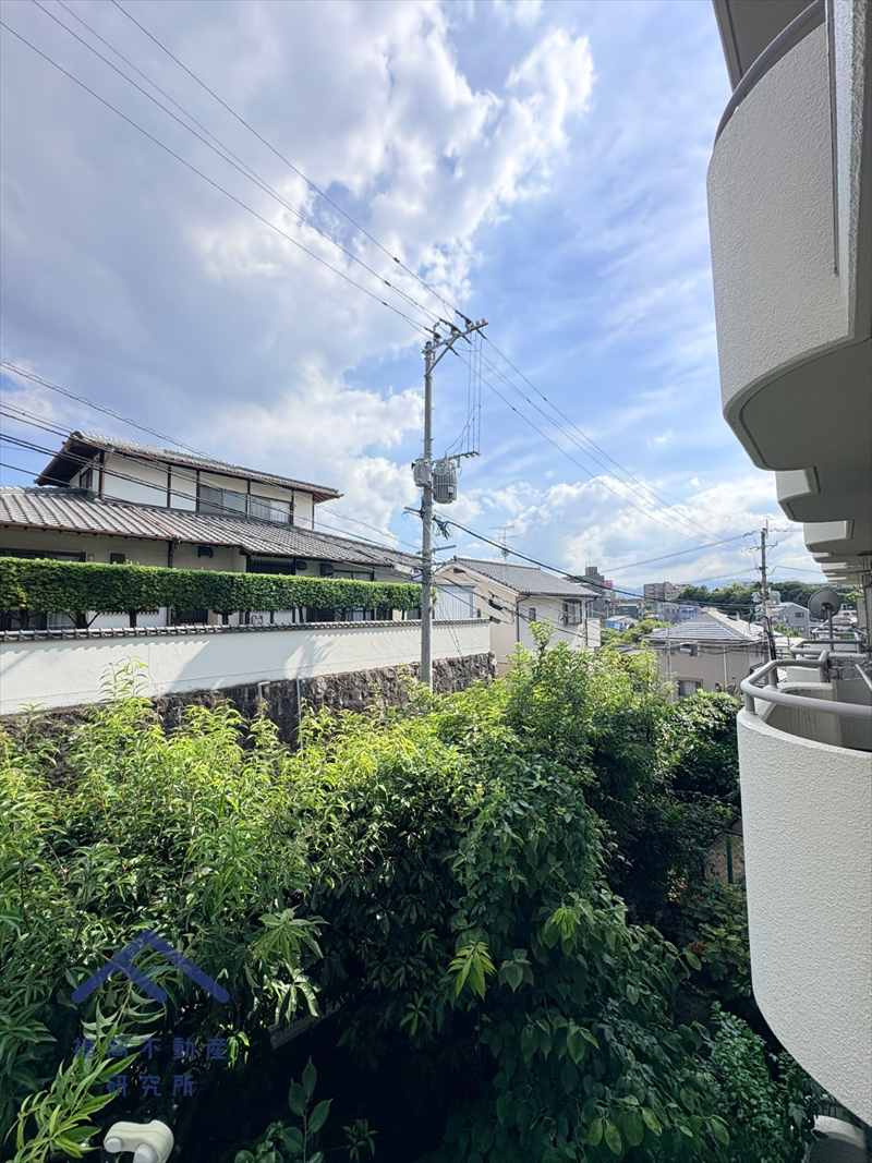 ファミール輝国の展望