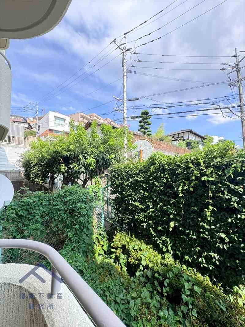 ファミール輝国の展望