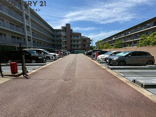 甲子園三番町ハイツのその他物件画像