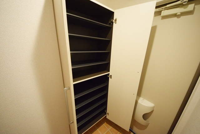 Ｖｉａｌｅｔｔａのその他