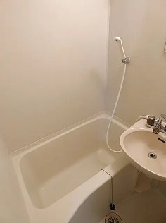 エステートプレジールの洗面所