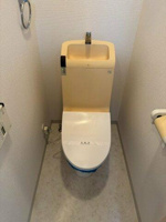 嬉しい温水洗浄便座付！