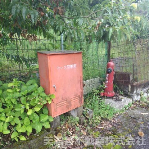 ６７１５６　本巣市根尾神所中古戸建（平屋）の庭