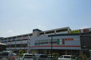 稲城市矢野口のアパートの周辺