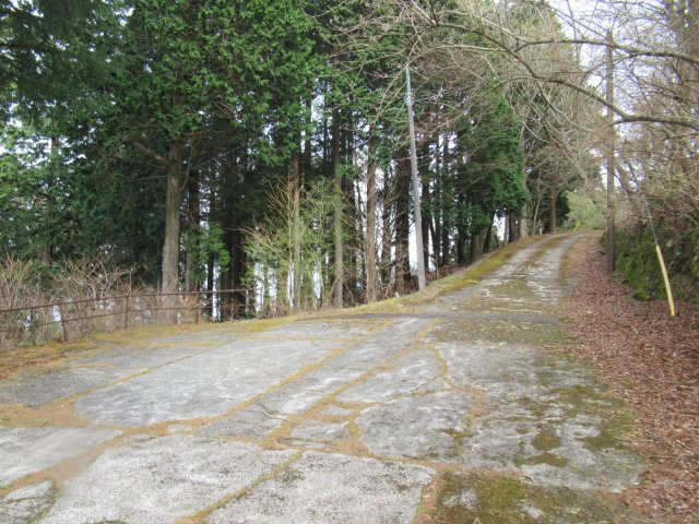 伊豆天城リゾート㉔古家付きの前面道路含む現地写真